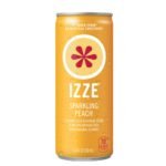 IZZE-Sparkling-Juice-Beverage-Variety-Pack-8-4-Fluid-Ounce-Pack-of-24_9c2c9cea-e130-4184-b26b-fed7b69220d6.c7511abd36aa580ce2d44cea9726277d